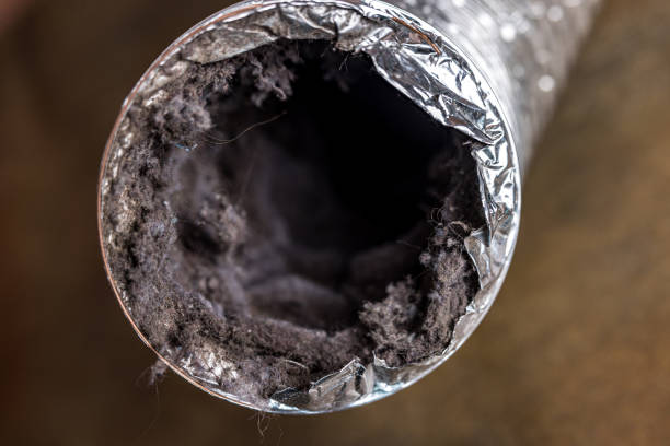 Best Air Duct Cleaning Near Me  in Marina Del Rey, CA