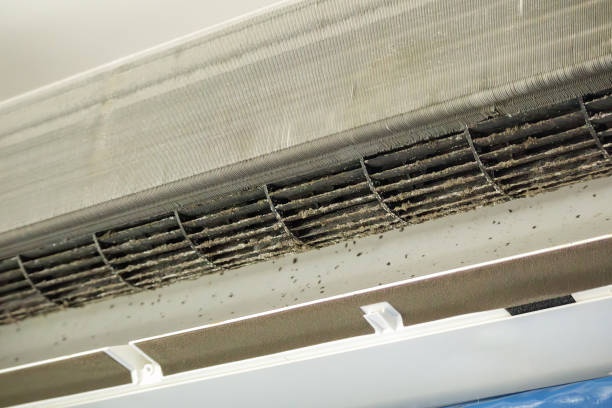 Best Ventilation Cleaning Services  in Marina Del Rey, CA